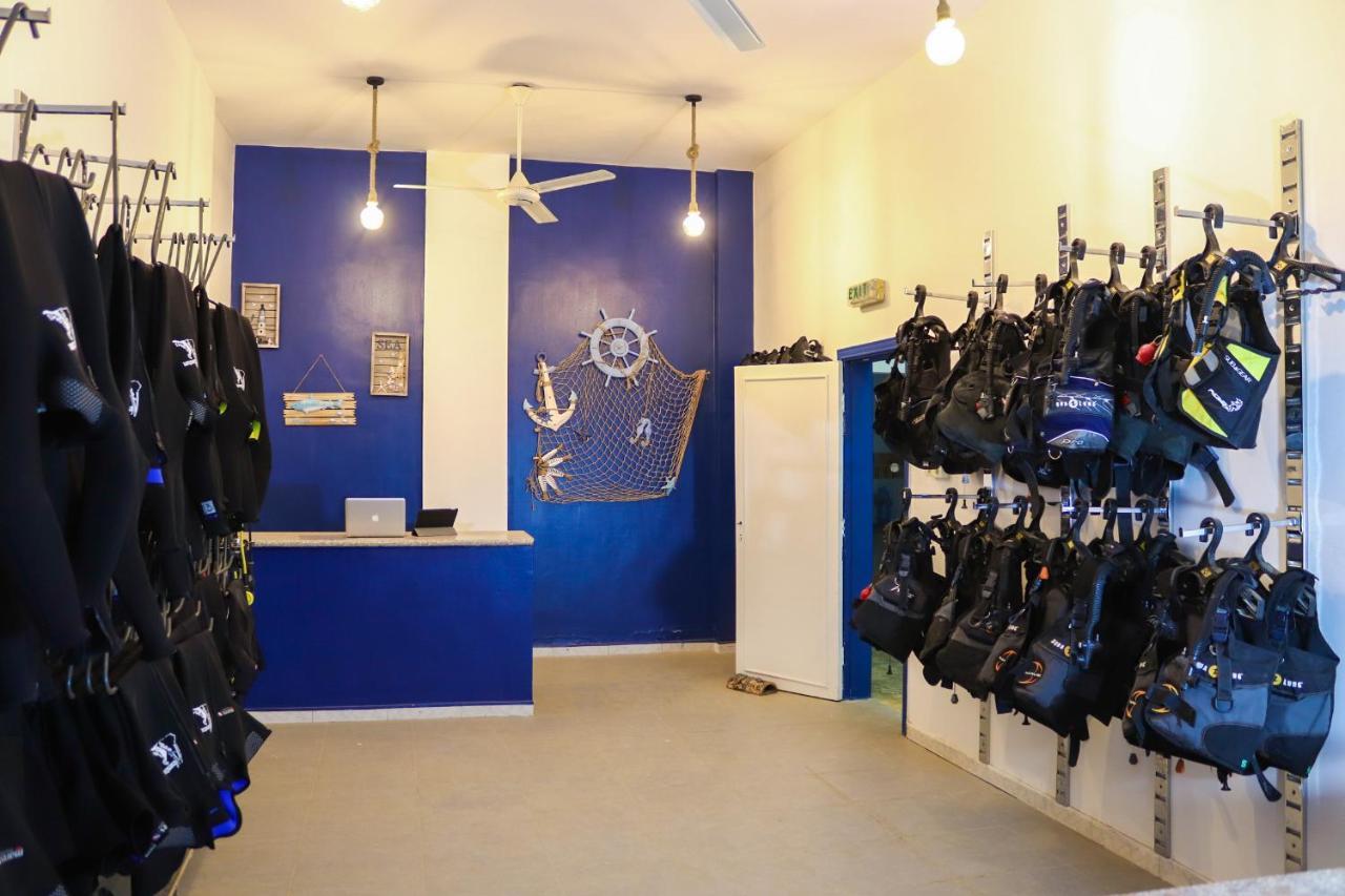 Aqaba Adventure Divers Resort & Dive Center Экстерьер фото