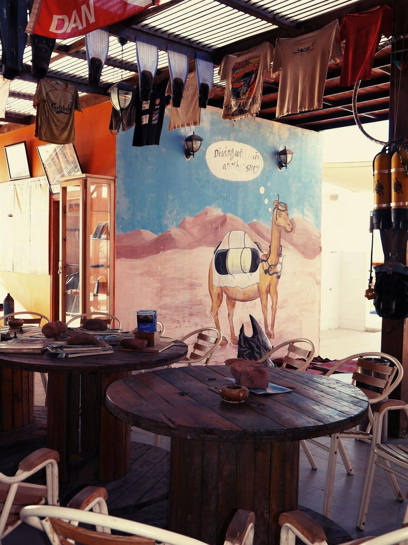 Aqaba Adventure Divers Resort & Dive Center Экстерьер фото