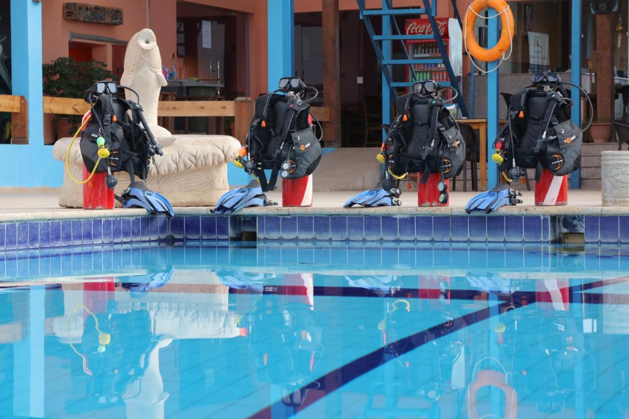 Aqaba Adventure Divers Resort & Dive Center Экстерьер фото