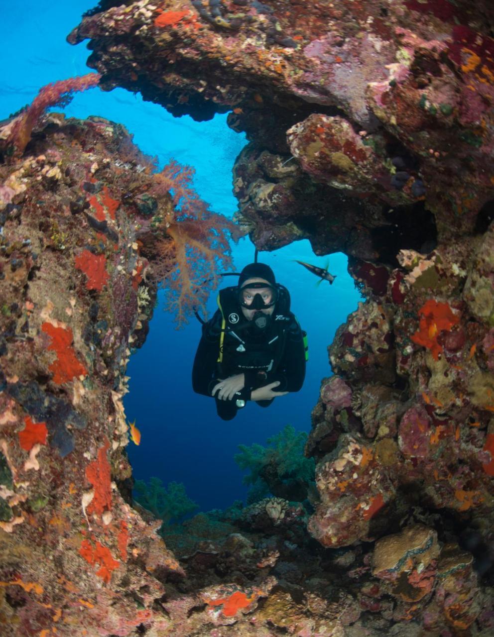 Aqaba Adventure Divers Resort & Dive Center Экстерьер фото